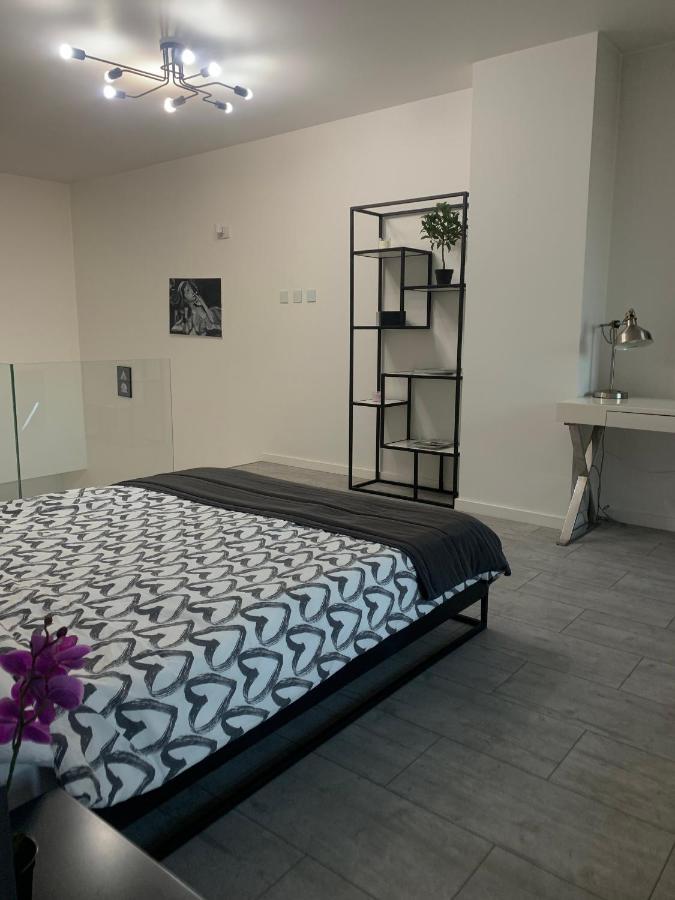 Ekskluzywny Penthouse Z Ogrodem W Centrum Lodzi Bagian luar foto
